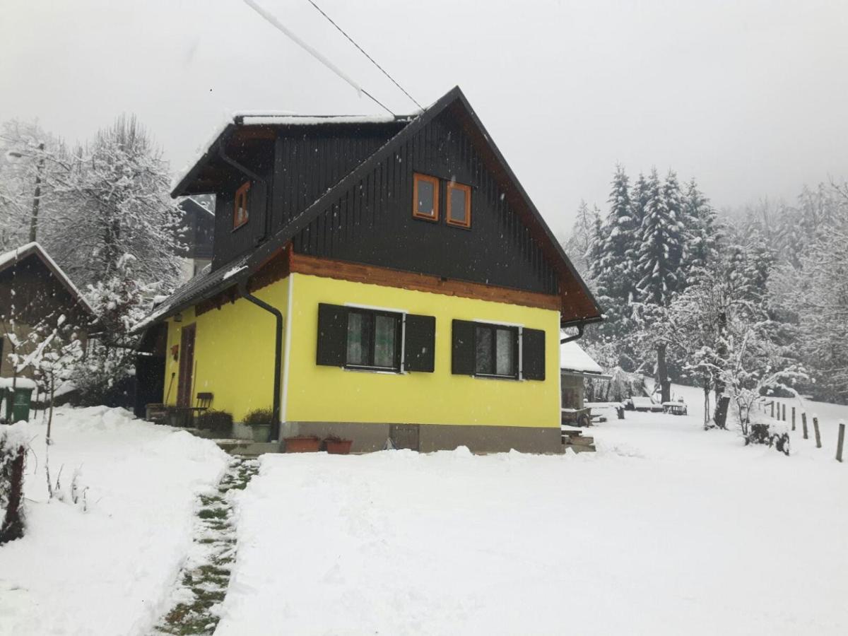 Kuca Za Odmor Forest Dream U Blizini Rijeke Kupe Plesce Εξωτερικό φωτογραφία