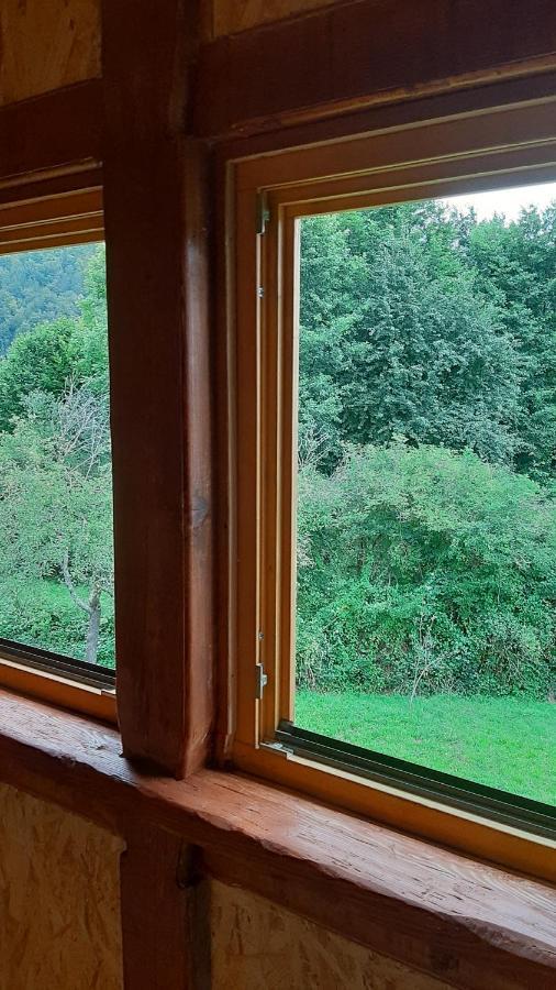 Kuca Za Odmor Forest Dream U Blizini Rijeke Kupe Plesce Εξωτερικό φωτογραφία