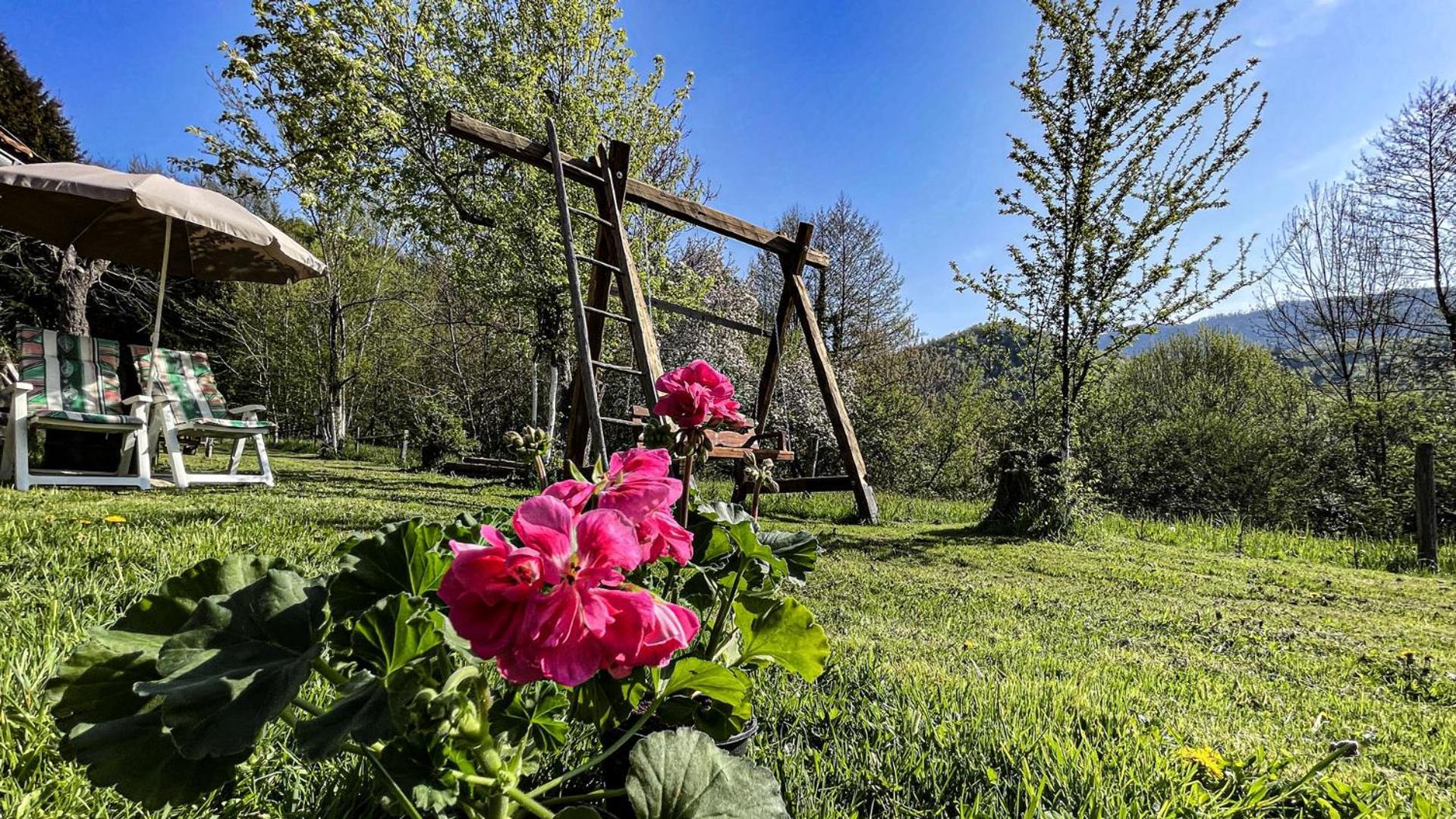 Kuca Za Odmor Forest Dream U Blizini Rijeke Kupe Plesce Εξωτερικό φωτογραφία